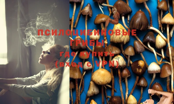 марки nbome Бородино