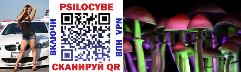Купить где  Кириши  Галлюциногенные грибы Psilocybe 